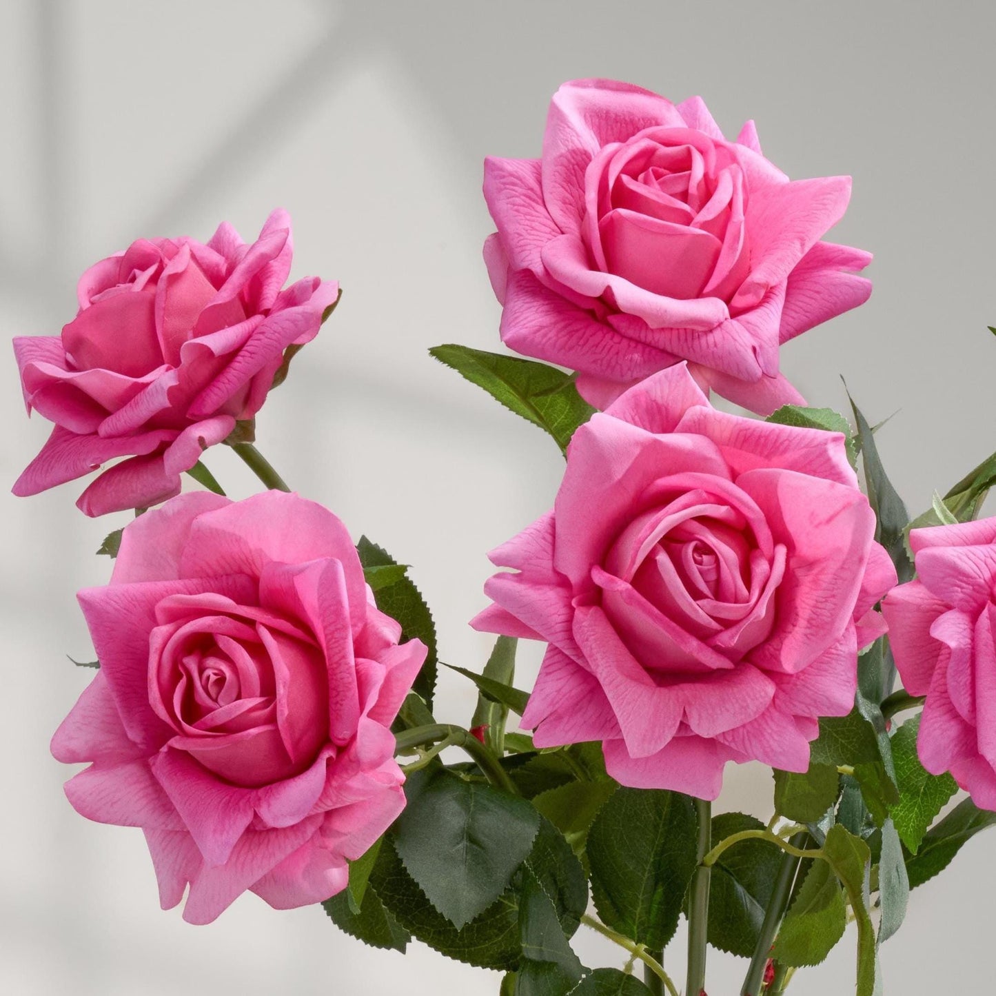 Pretty pink real touch full bloom roses close up