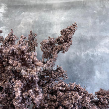 Load image into Gallery viewer, Faux Mini Berries Long Branch – Purplish Brown