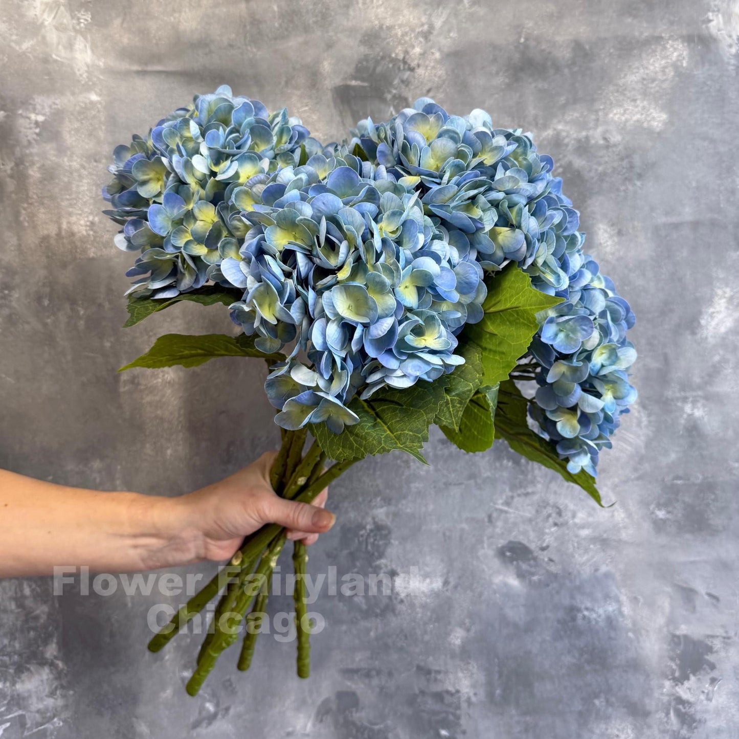 Greenish blue hydrangea in arrangement