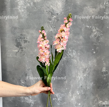 Load image into Gallery viewer, Faux Brompton Stock Bouquet - Light Pink