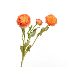 Load image into Gallery viewer, Faux Ranunculus - Orange