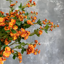 Load image into Gallery viewer, Miniature Rose Long Stem - Dark Orange