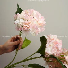 Load image into Gallery viewer, 5 Heads Hydrangea Bouquet - Light Pink Edge