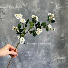 Load image into Gallery viewer, Miniature Rose Long Stem - White