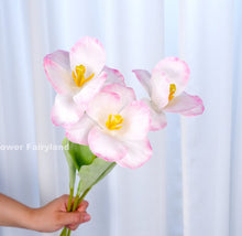 Load image into Gallery viewer, Faux Open Tulip Stem - Pink Edge