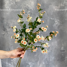 Load image into Gallery viewer, Miniature Rose Long Stem - Peach