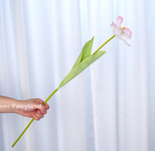 Load image into Gallery viewer, Faux Open Tulip Stem - Pink Edge