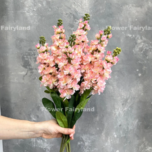 Load image into Gallery viewer, Faux Brompton Stock Bouquet - Light Pink