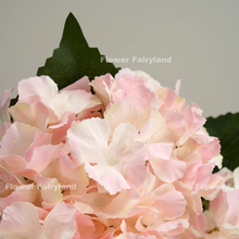 Load image into Gallery viewer, 5 Heads Hydrangea Bouquet - Light Pink Edge