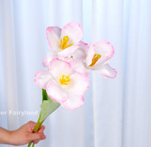 Load image into Gallery viewer, Faux Open Tulip Stem - Pink Edge