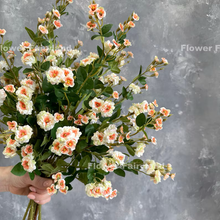 Load image into Gallery viewer, Miniature Rose Long Stem - Peach