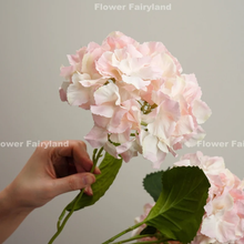 Load image into Gallery viewer, 5 Heads Hydrangea Bouquet - Light Pink Edge