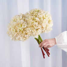 Load image into Gallery viewer, 3 Stems Dried Look Faux Hydrangea Bundle - White