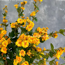 Load image into Gallery viewer, Miniature Rose Long Stem - Yellow