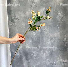 Load image into Gallery viewer, Miniature Rose Long Stem - Peach