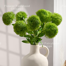Load image into Gallery viewer, Real Touch Dianthus Green Ball Stem - Light Green