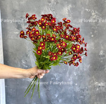 Load image into Gallery viewer, 21" 30 Heads Chamomile Branch - Red