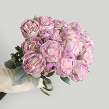Load image into Gallery viewer, 32" 8 Stems Dried Peony Bouquet
