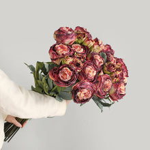 Load image into Gallery viewer, 32" 8 Stems Dried Peony Bouquet