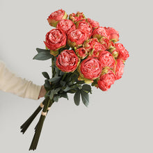 Load image into Gallery viewer, 32" 8 Stems Dried Peony Bouquet