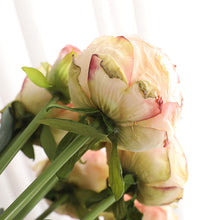 Load image into Gallery viewer, 32" 8 Stems Dried Peony Bouquet