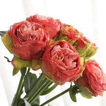 Load image into Gallery viewer, 32" 8 Stems Dried Peony Bouquet