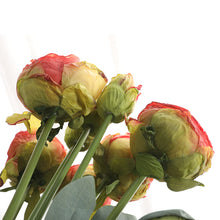 Load image into Gallery viewer, 32" 8 Stems Dried Peony Bouquet