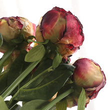 Load image into Gallery viewer, 32" 8 Stems Dried Peony Bouquet