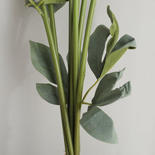 Load image into Gallery viewer, 32" 8 Stems Dried Peony Bouquet
