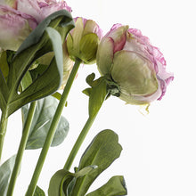 Load image into Gallery viewer, 32" 8 Stems Dried Peony Bouquet