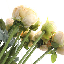 Load image into Gallery viewer, 32" 8 Stems Dried Peony Bouquet