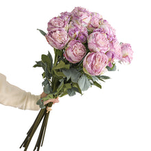Load image into Gallery viewer, 32" 8 Stems Dried Peony Bouquet