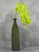 Load image into Gallery viewer, 38" Real Touch 9 Heads Orchid Stem - Green