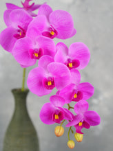 Load image into Gallery viewer, 38" Real Touch 9 Heads Orchid Stem - Light Magenta
