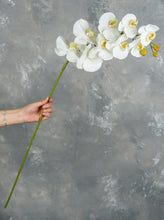 Load image into Gallery viewer, 38" Real Touch 9 Heads Orchid Stem - White