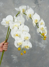 Load image into Gallery viewer, 38" Real Touch 9 Heads Orchid Stem - White