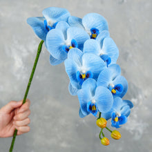 Load image into Gallery viewer, 38" Real Touch 9 Heads Orchid Stem - Blue