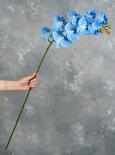 Load image into Gallery viewer, 38" Real Touch 9 Heads Orchid Stem - Blue