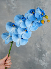 Load image into Gallery viewer, 38" Real Touch 9 Heads Orchid Stem - Blue