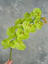 Load image into Gallery viewer, 38" Real Touch 9 Heads Orchid Stem - Green