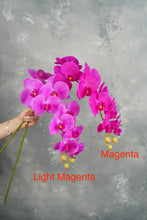 Load image into Gallery viewer, 38" Real Touch 9 Heads Orchid Stem - Light Magenta