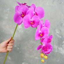 Load image into Gallery viewer, 38" Real Touch 9 Heads Orchid Stem - Light Magenta