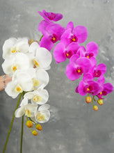 Load image into Gallery viewer, 38" Real Touch 9 Heads Orchid Stem - Light Magenta