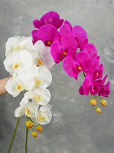 Load image into Gallery viewer, 38" Real Touch 9 Heads Orchid Stem - Magenta