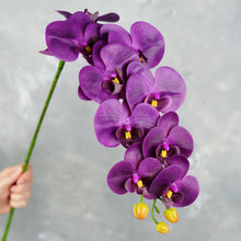 Load image into Gallery viewer, 38" Real Touch 9 Heads Orchid Stem - Dark Grape Purple
