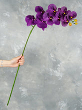 Load image into Gallery viewer, 38" Real Touch 9 Heads Orchid Stem - Dark Grape Purple