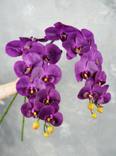 Load image into Gallery viewer, 38" Real Touch 9 Heads Orchid Stem - Dark Grape Purple