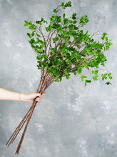 Load image into Gallery viewer, 44" Real Touch Faux Aglaia Odorata Tree Branch Stem