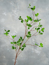 Load image into Gallery viewer, 44" Real Touch Faux Aglaia Odorata Tree Branch Stem