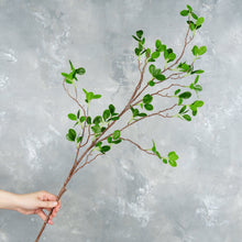Load image into Gallery viewer, 44" Real Touch Faux Aglaia Odorata Tree Branch Stem